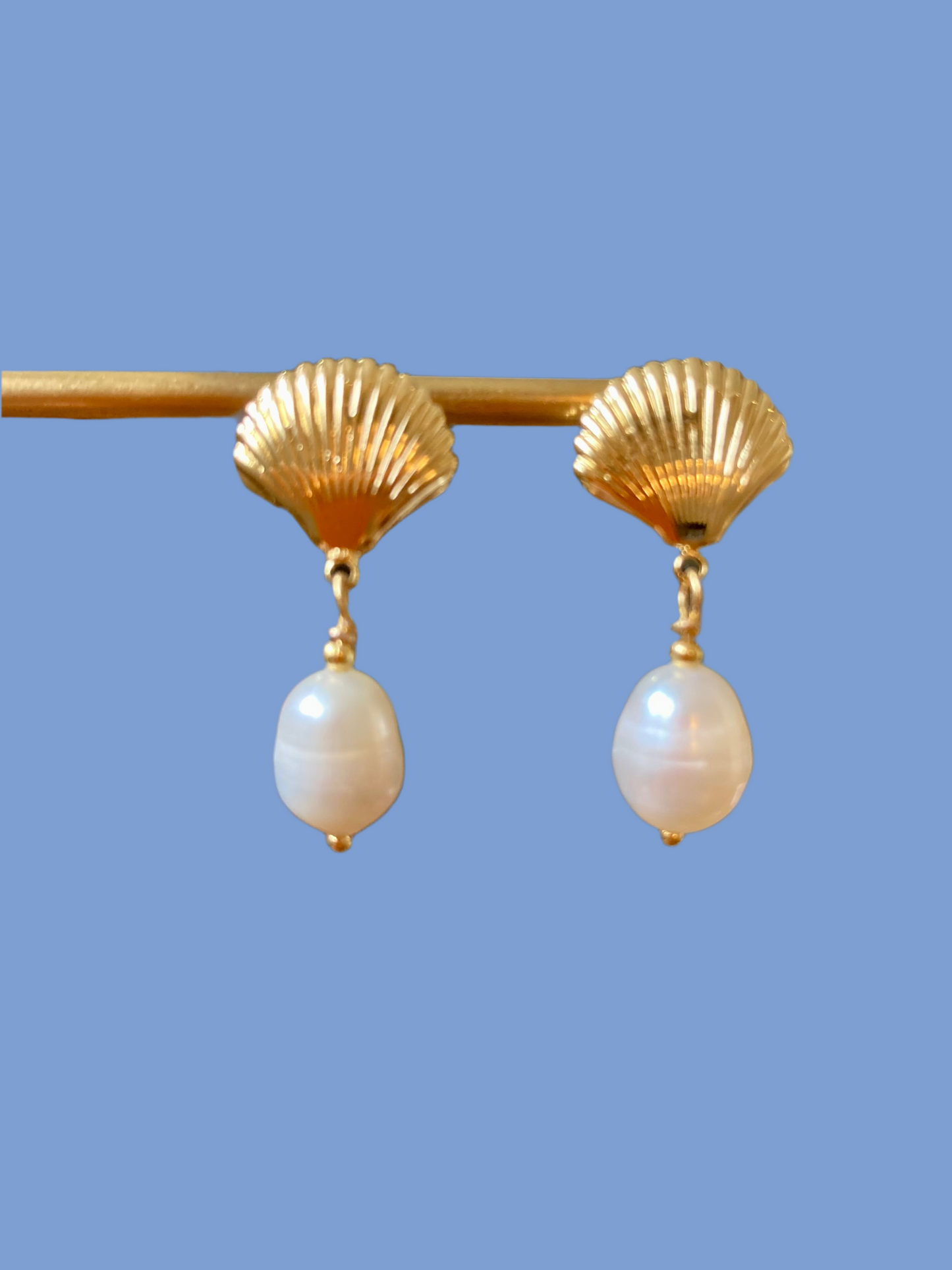 Golden Shell Stud Freshwater Pearl Contemporary Design Everyday Earrings